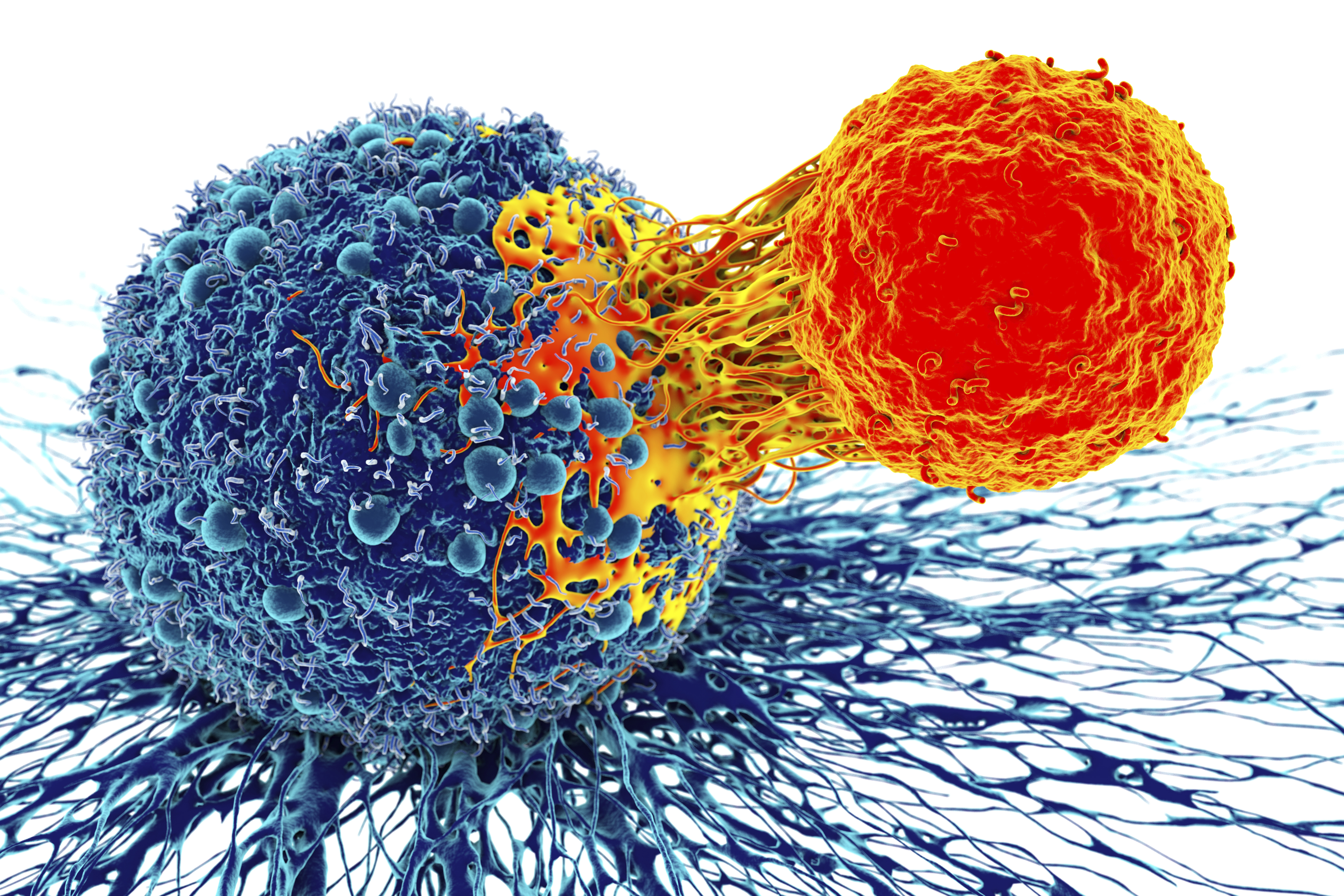 Cancer cells
