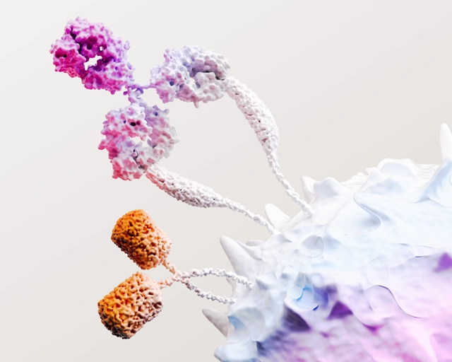 Représentation molécule immunologie